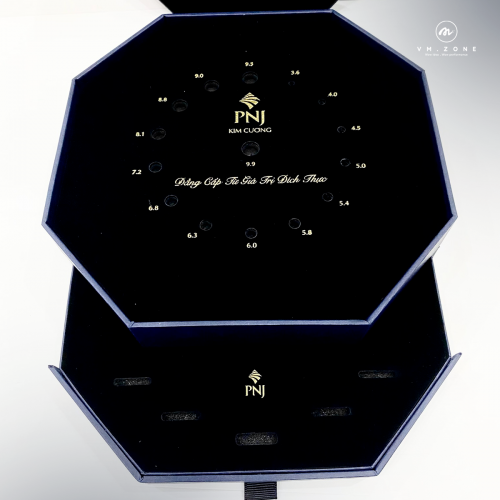 Dự án tiêu biểu