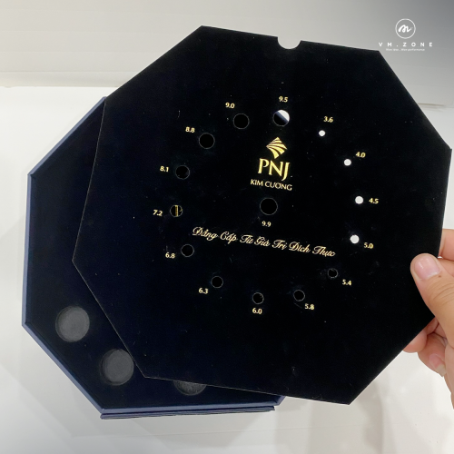 Dự án tiêu biểu