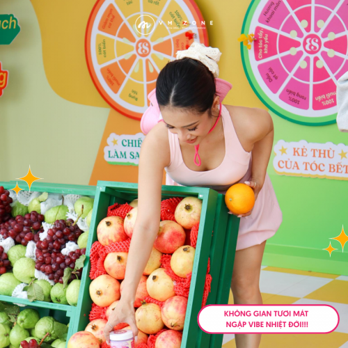 Dự án tiêu biểu