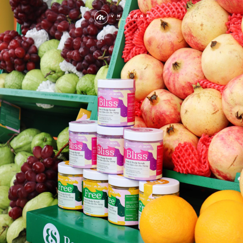 Dự án tiêu biểu