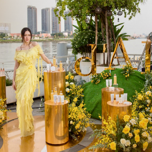 Dự án tiêu biểu