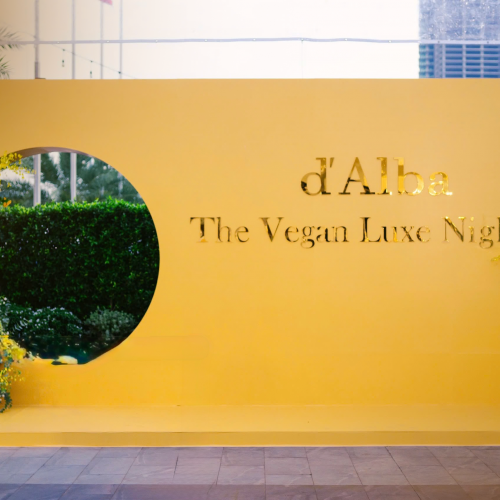 Dự án tiêu biểu