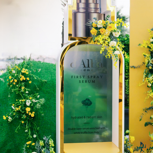 Dự án tiêu biểu