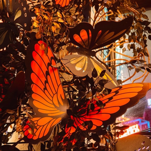 Dự án tiêu biểu