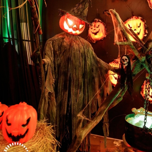 Dự án tiêu biểu